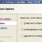 Oracle 12.1: Database Only