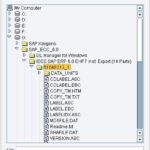 SAP Full Install - Select Package