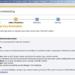 SAP Full Install - Default Key Selection