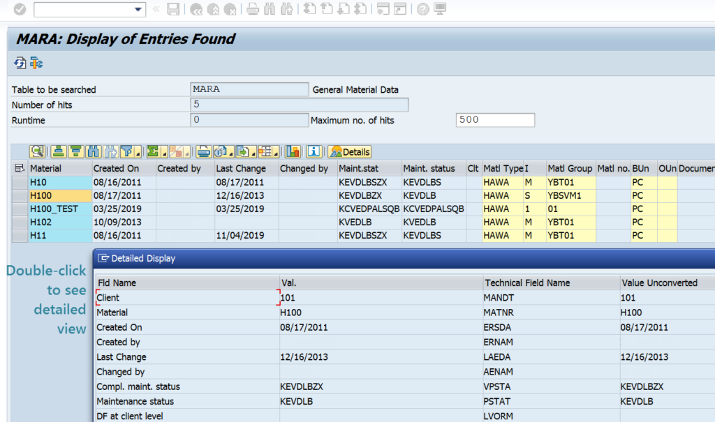 SE16n:  Results Screen with Record Detail View